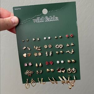 Wild Fable 30pc Mixed Earrings Set